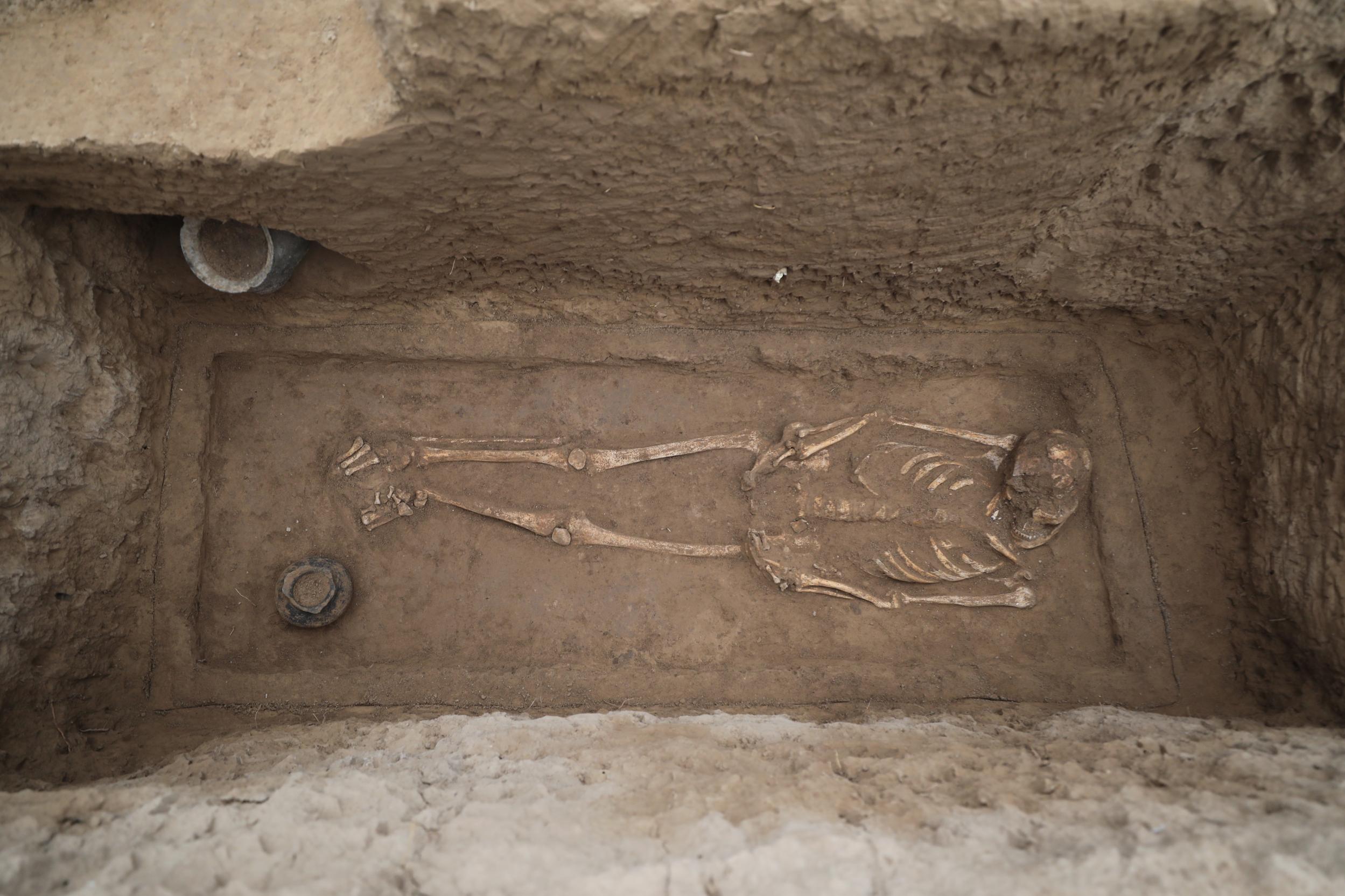 20260317125928745-71-16ce5.jpeg_scale.jpeg 20260317125928745-71-16ce5.jpeg_scale.jpeg