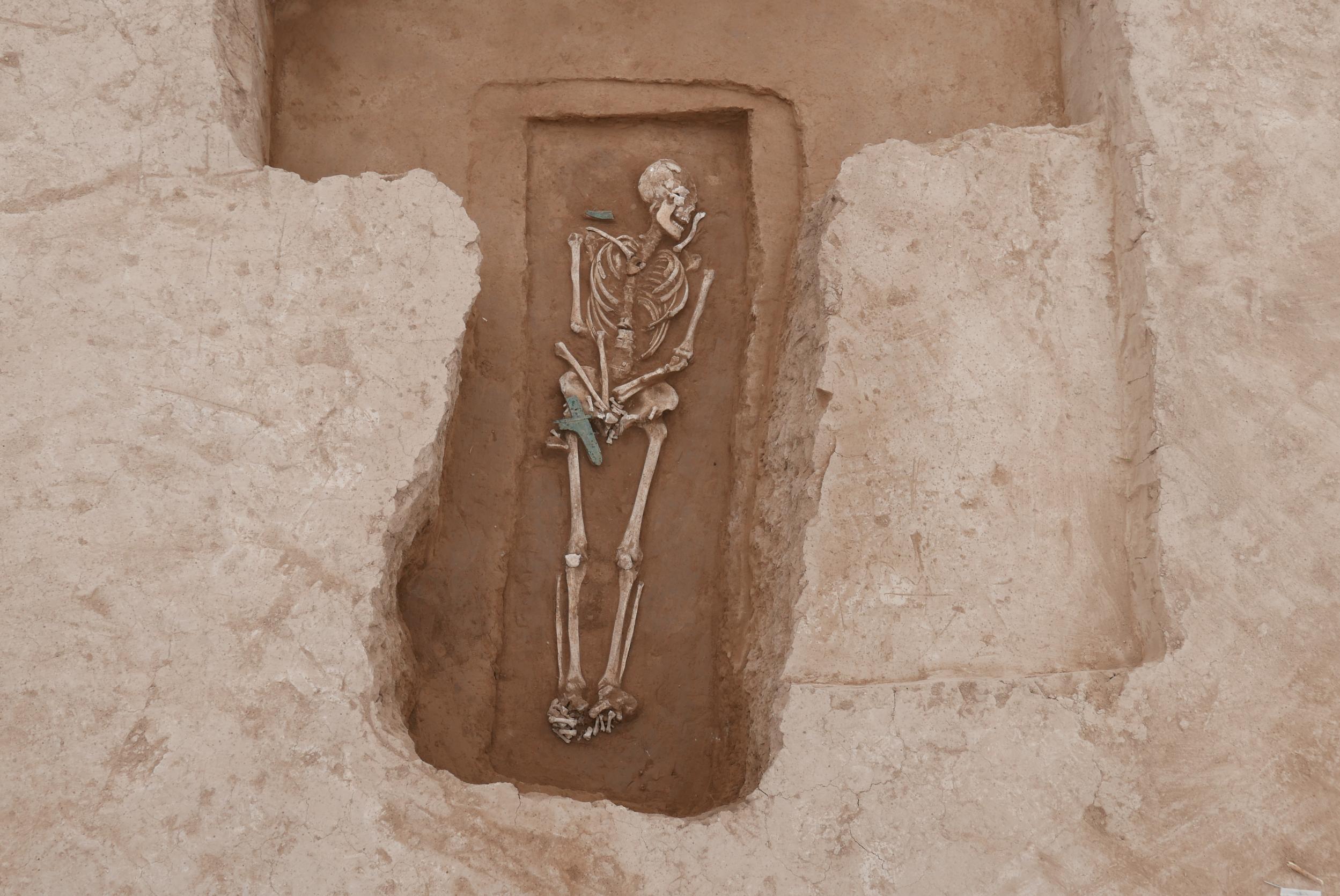 20260317130102436-1-86e27.jpeg_scale.jpeg 20260317130102436-1-86e27.jpeg_scale.jpeg