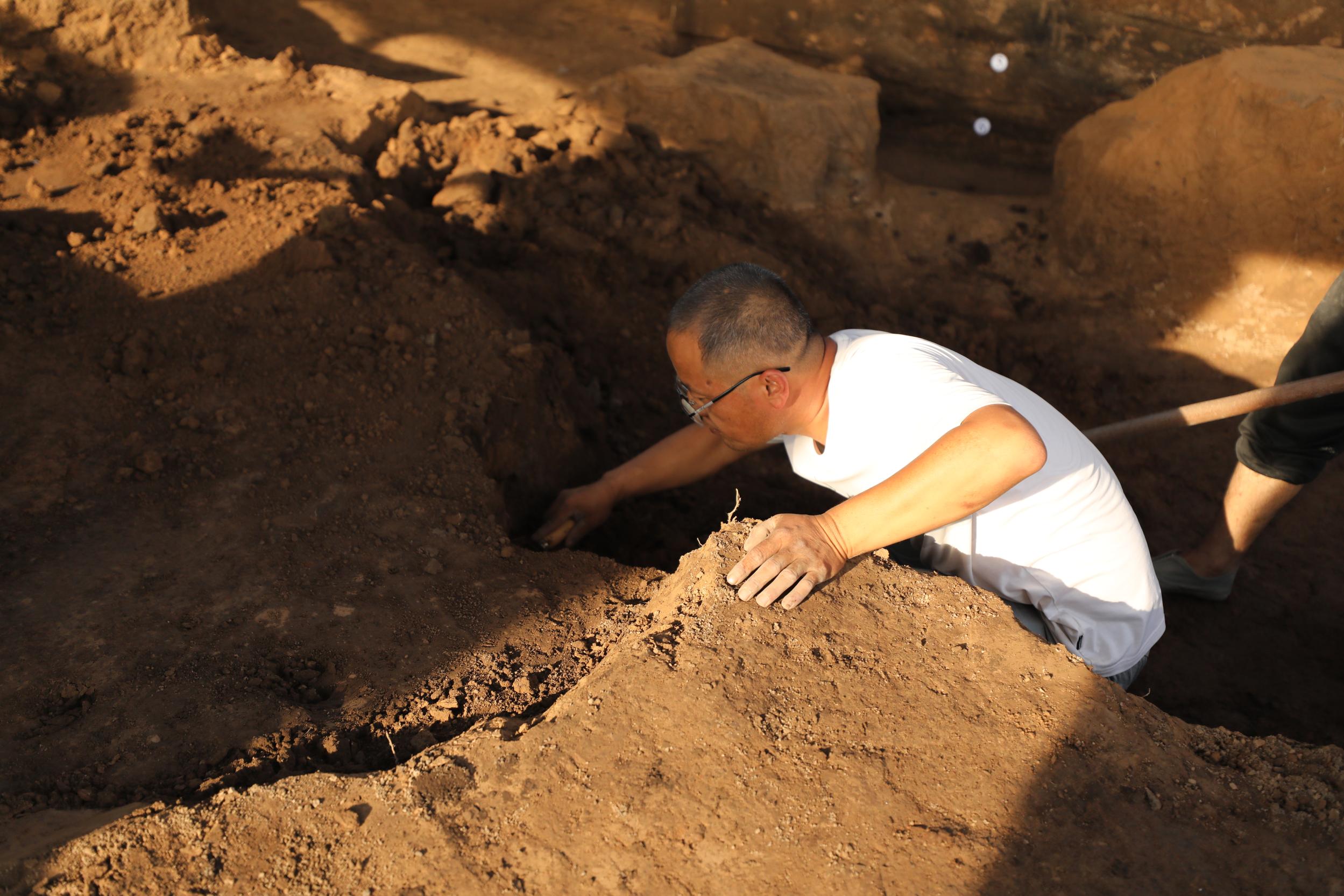 20260317130105525-44-0b3d6.jpeg_scale.jpeg 20260317130105525-44-0b3d6.jpeg_scale.jpeg