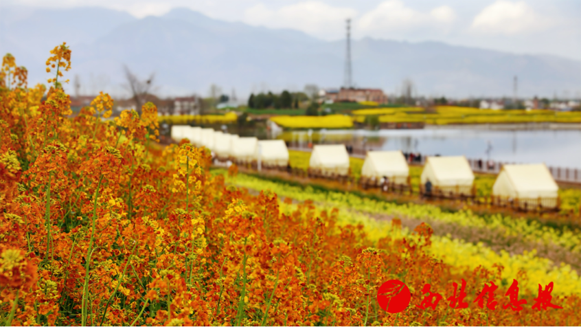 2026-03-20 14:35:01.907000