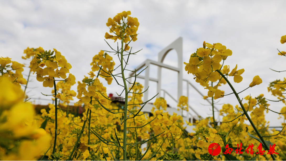 2026-03-20 14:35:02.209000