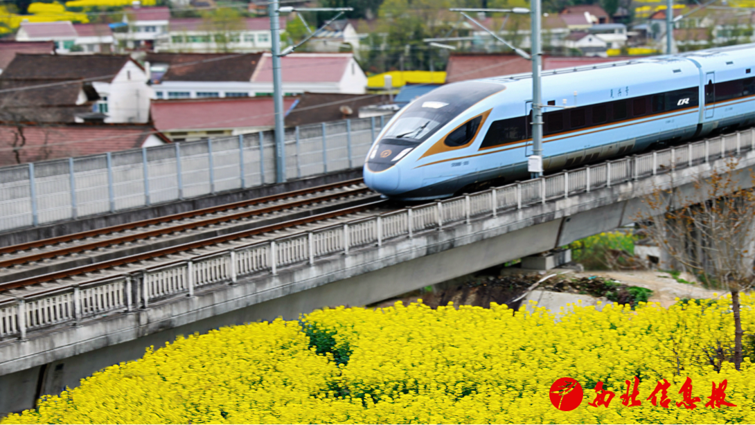 2026-03-20 14:35:38.623000