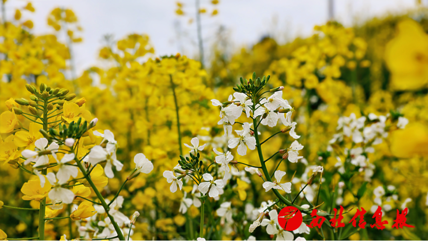 2026-03-20 14:35:02.272000