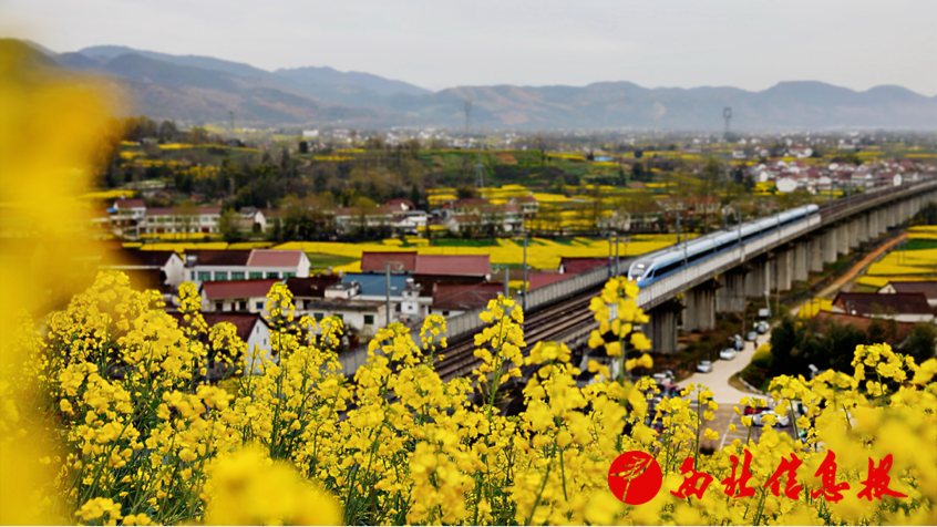 2026-03-20 14:35:02.347000