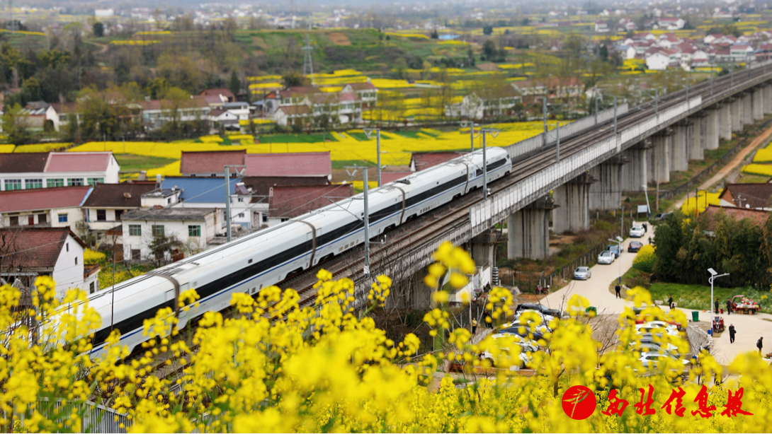 2026-03-20 14:35:39.146000