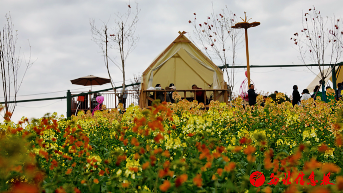 2026-03-20 14:35:49.983000