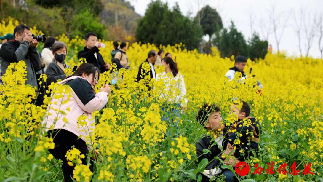 2026-03-20 14:35:38.542000