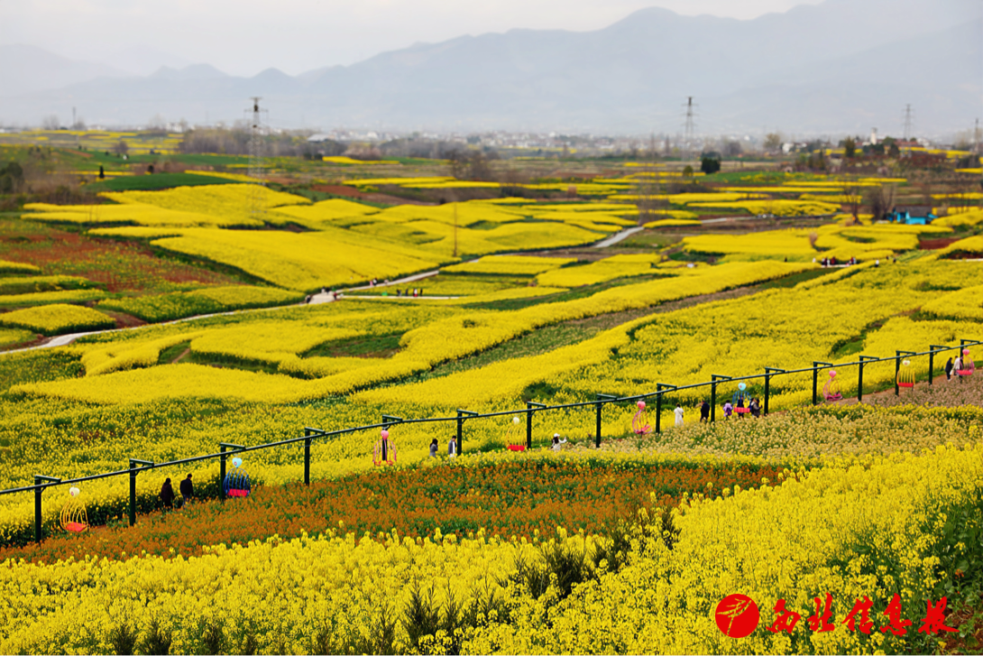 2026-03-20 14:35:39.067000