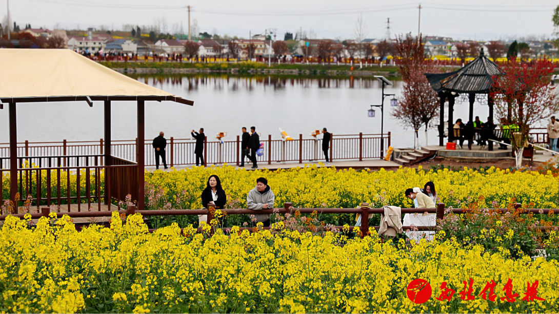 2026-03-20 14:35:38.989000