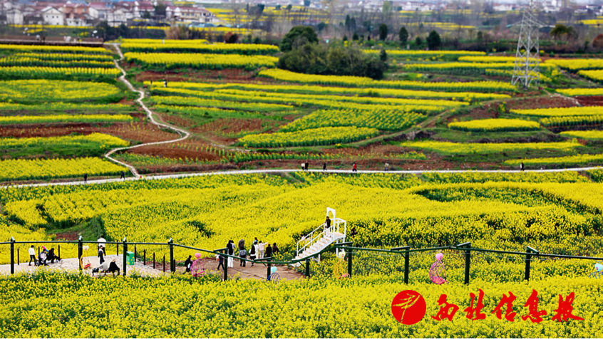 2026-03-20 14:35:38.770000