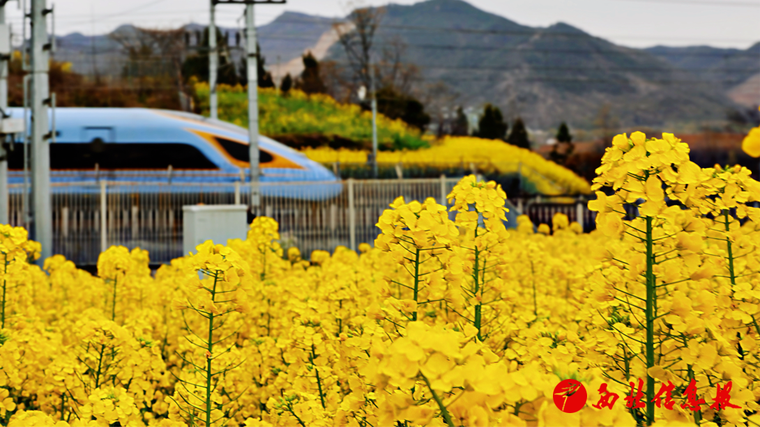 2026-03-20 14:35:38.918000