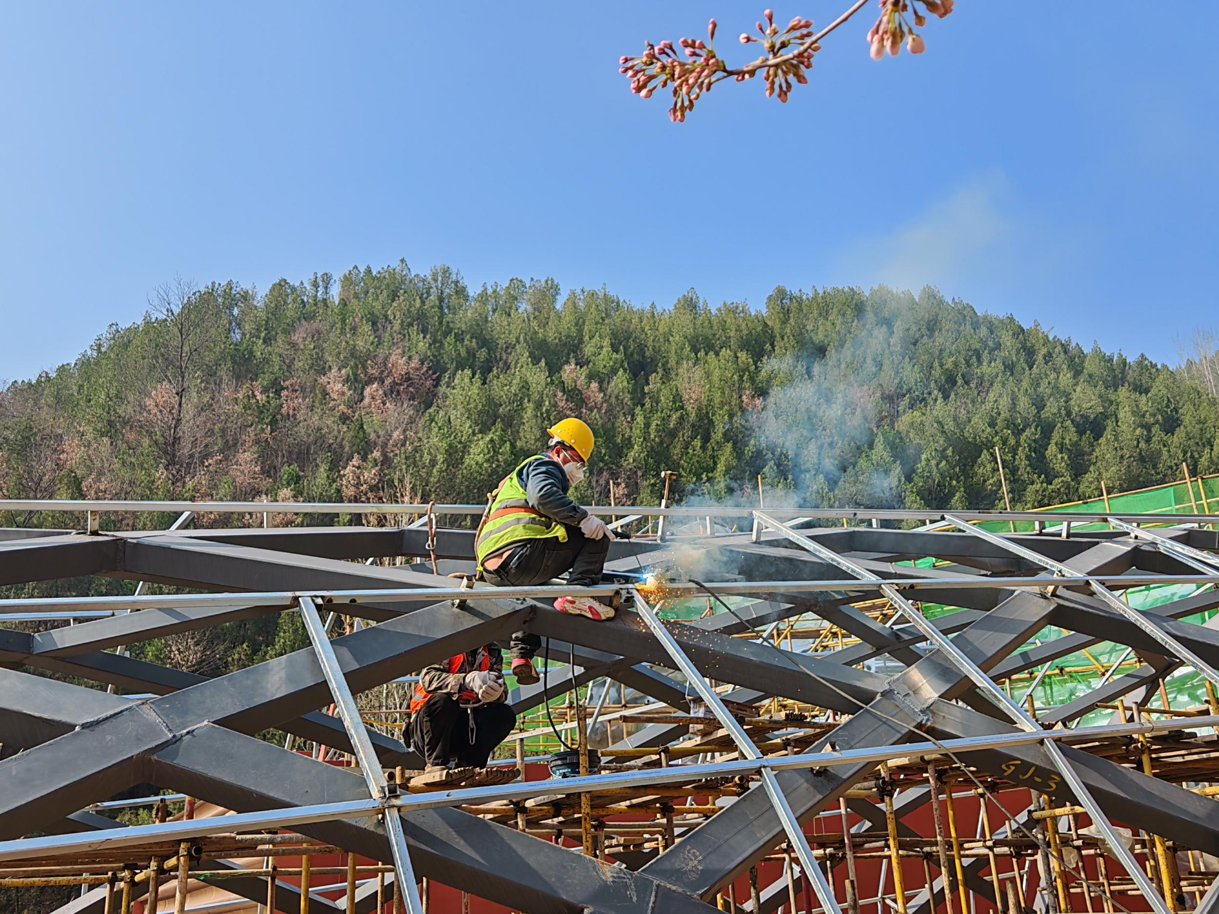 20260325090135784-14-dc808.jpg_scale.jpg 20260325090135784-14-dc808.jpg_scale.jpg