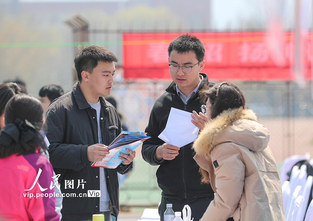 山东青岛：双选会助力大学生就业【4】