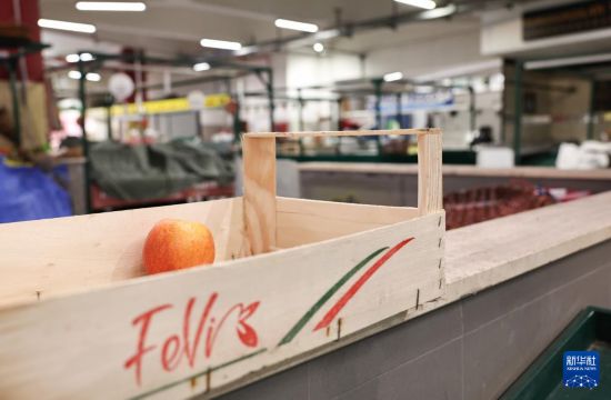 　　3月24日，意大利首都罗马一处市场暂时歇业。新华社记者 王楷焱 摄