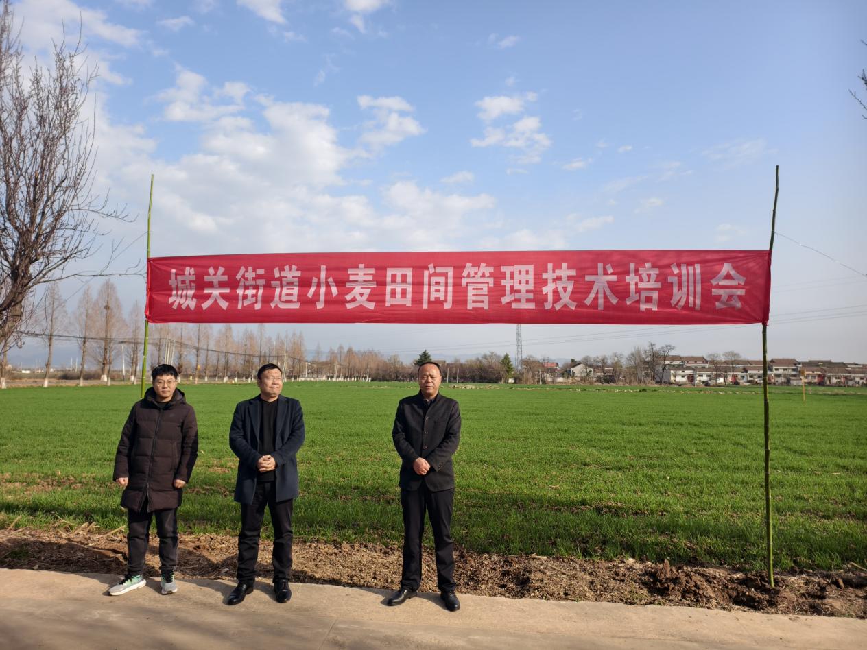 901a6ac0a661ea5e8845ab5969191a7