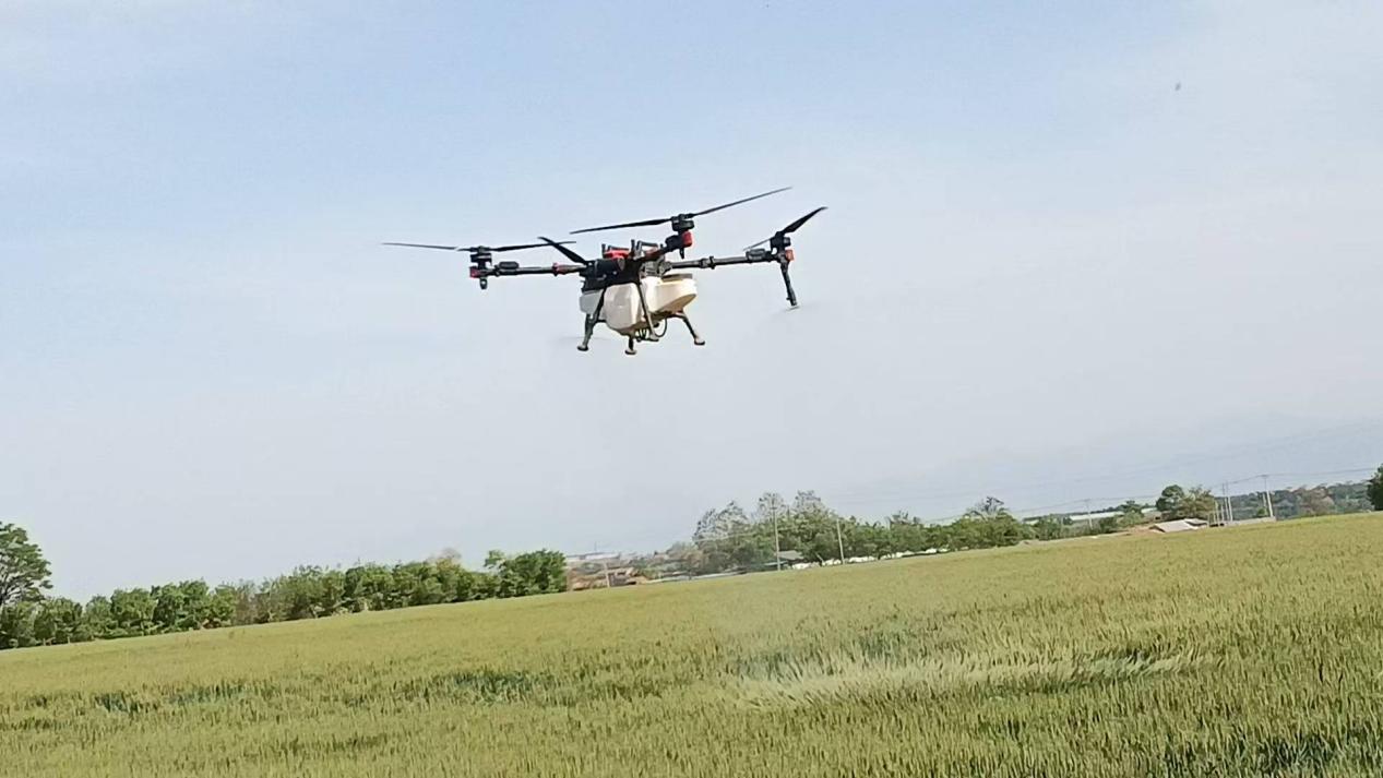 2d994ee3fbea6caf3dafc730777ab4f