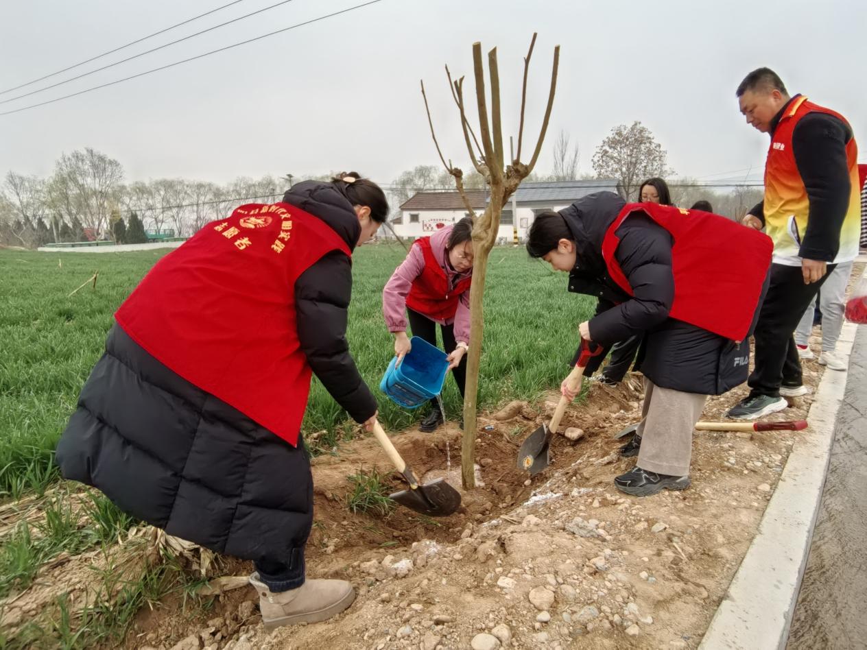 e06fafd1498656ea178566b9713cc5d8