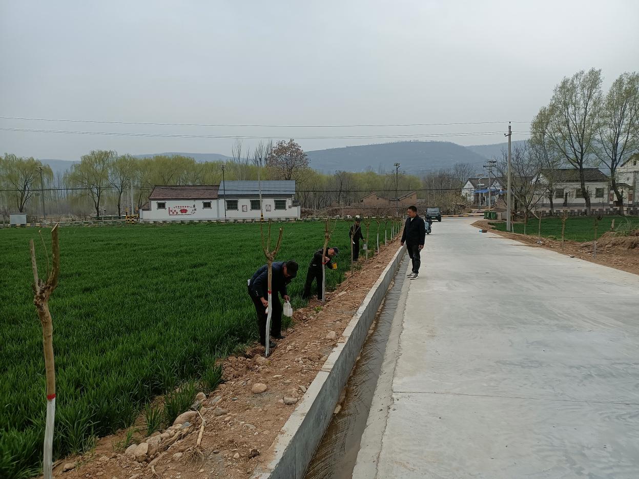 df106e0d1b39698916d4e824a9c4dee2