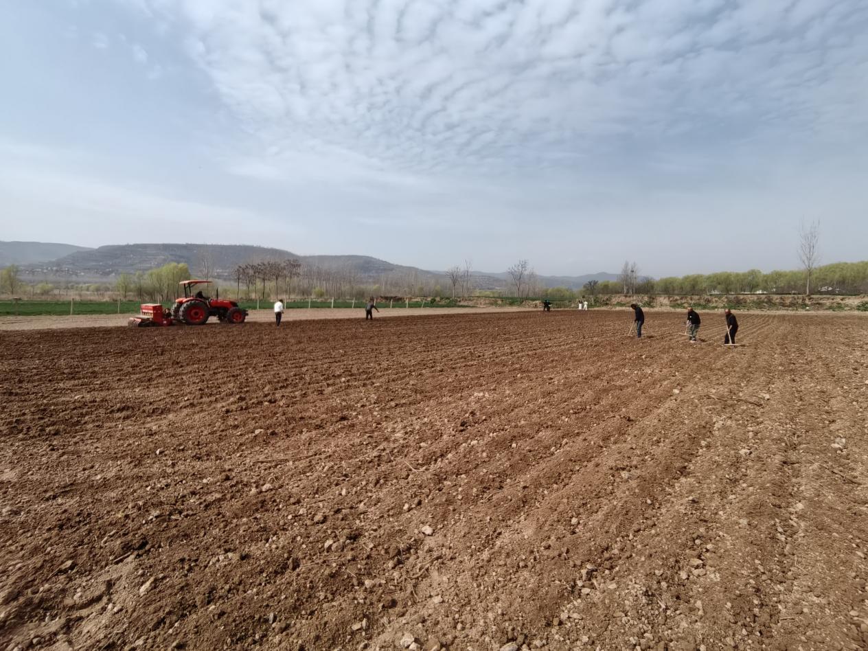 e6cca177ad666e22f4c50b7cdcceb029