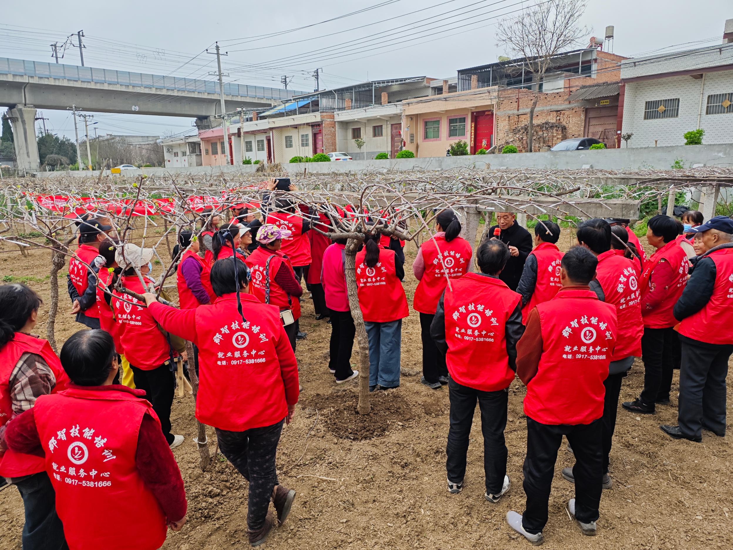 457feb048e4df8ee6b9d3d5e5bfe562