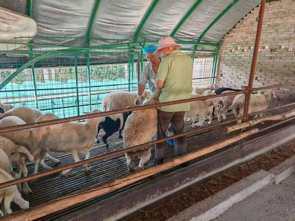 79ded16256197759ac2db4cabd3790c8