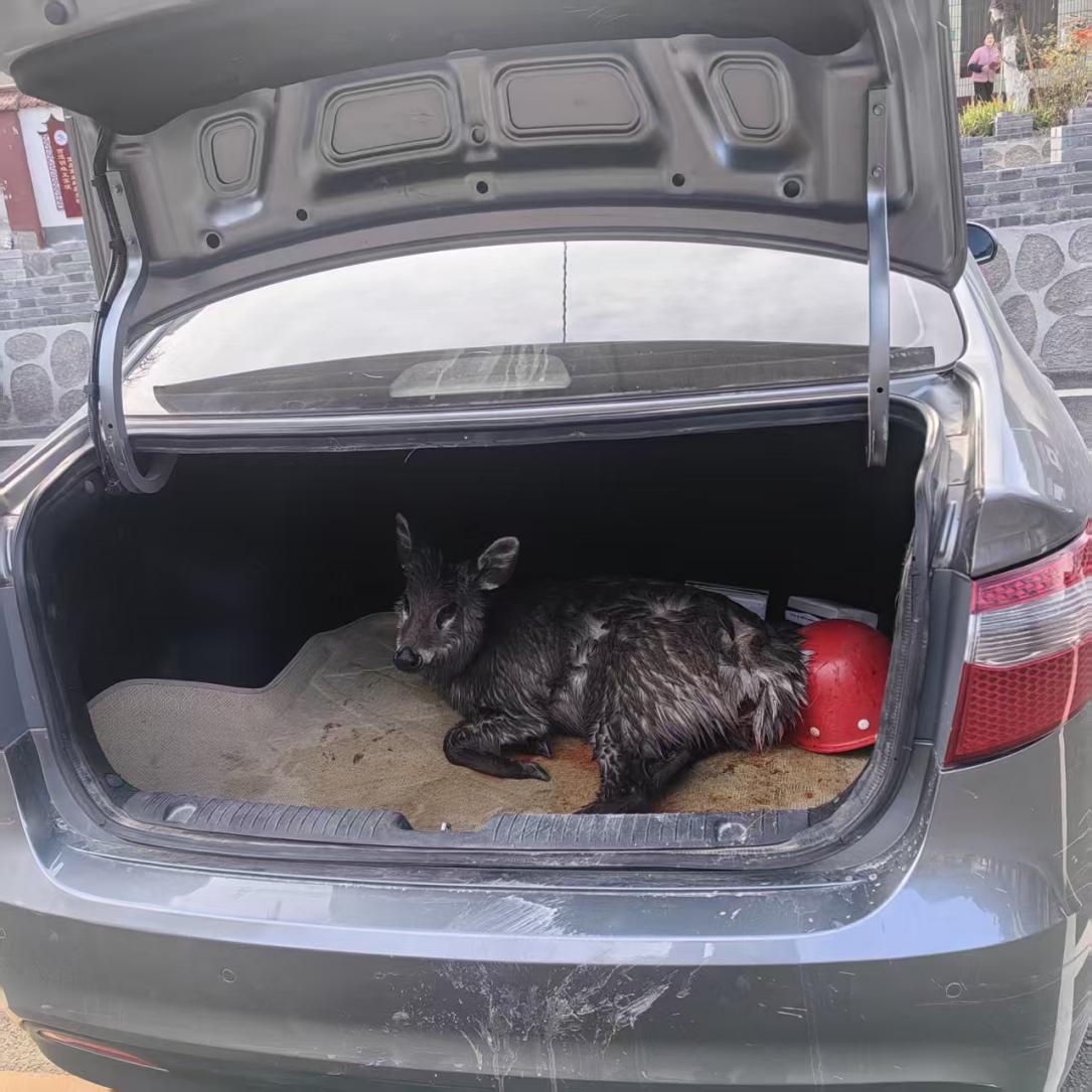 微信图片_20260320190811_114_2