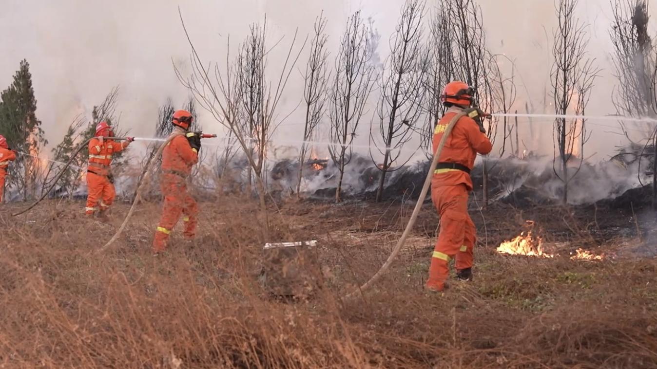 13-科目8 (59) _1774950399012