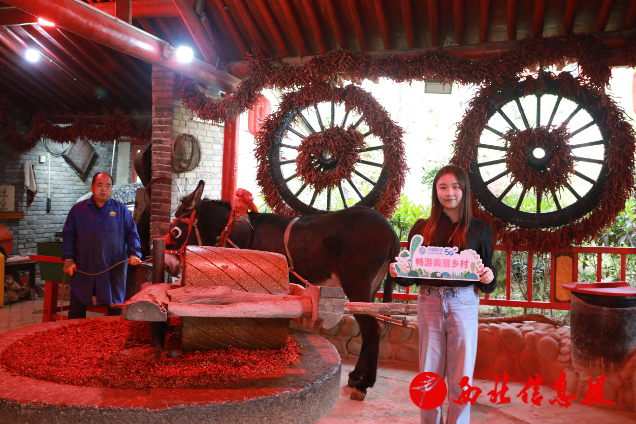 微信图片_20260402151943_953_91