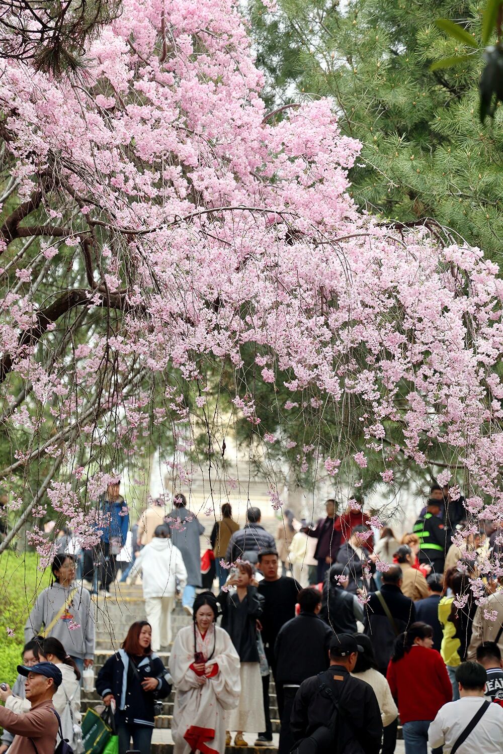 20260407090226927-44-70836.jpg 20260407090226927-44-70836.jpg