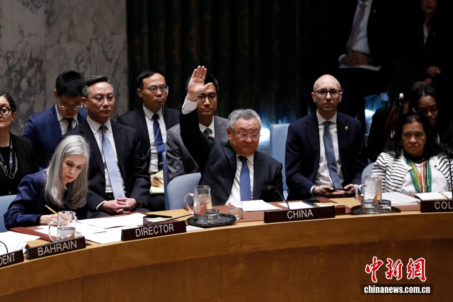 中俄在联合国安理会否决涉霍尔木兹海峡决议草案