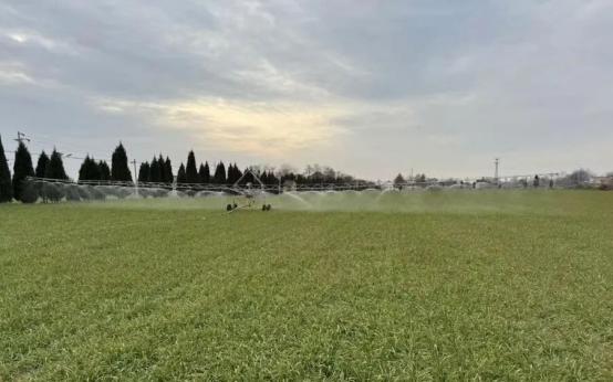 6e2a7ae9e47e36a4eadbc880e2e78e0c