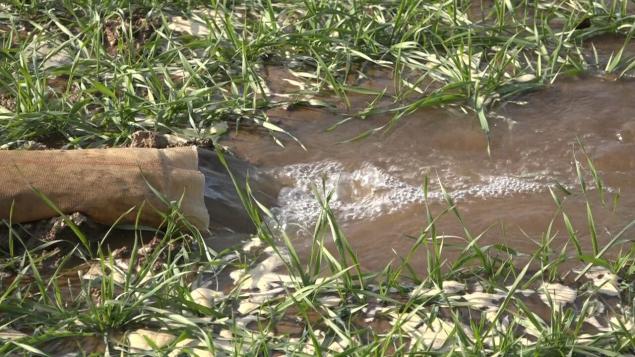 e1d3249b023d87ee9d510a70b1ea81b1