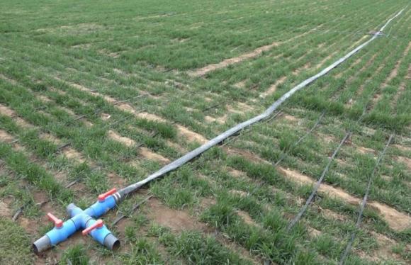 7fbaca6307bfe8329d2358392df344ca