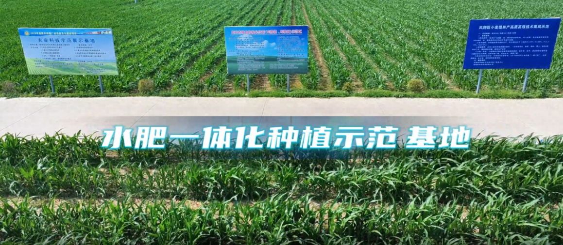 wechat_2025-09-09_182658_181