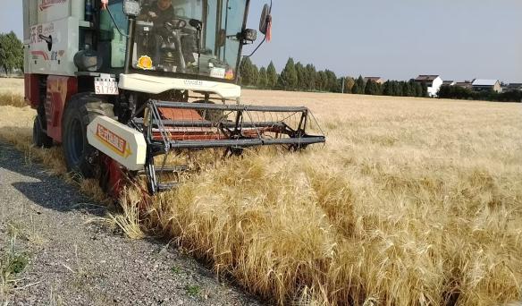 47085d0e7d120247b96cc60827cb933