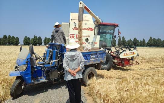 f680f6c8a1542180fcb86e701f05cf8