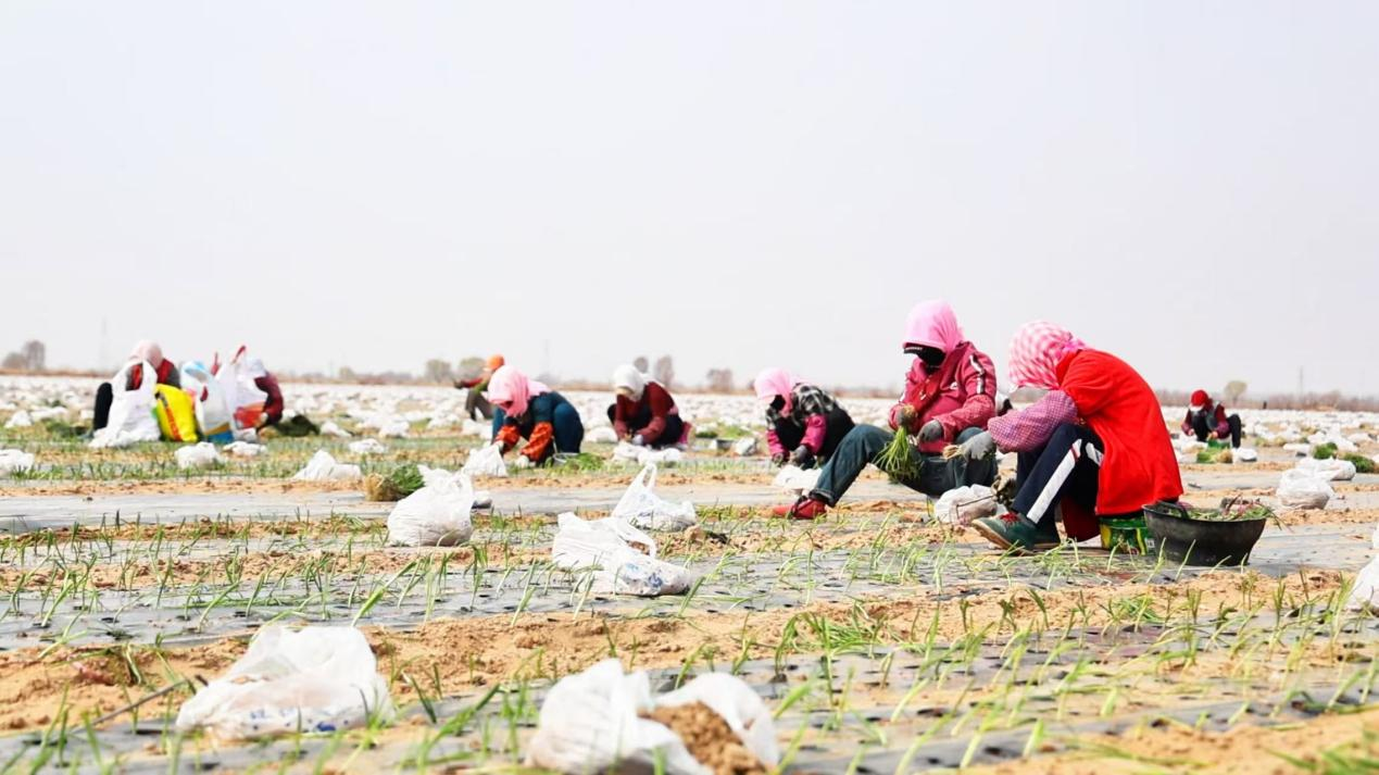 20260410181237-15-c2153.jpeg 20260410181237-15-c2153.jpeg