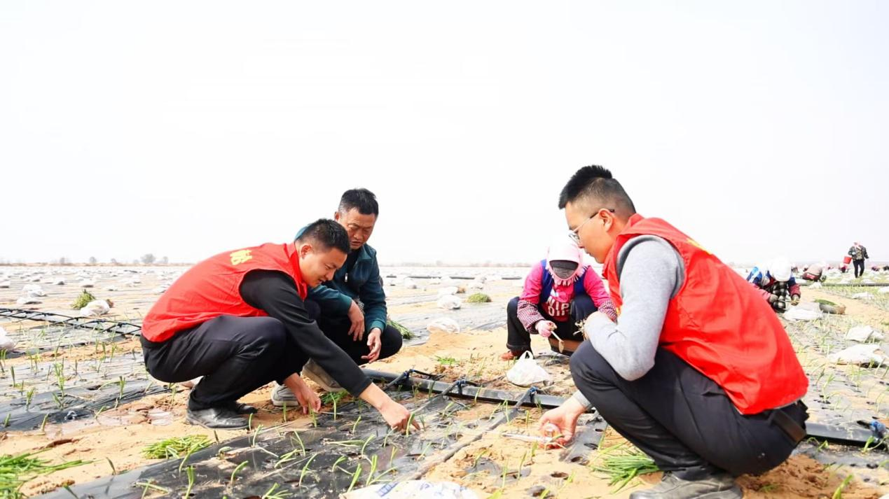 20260410181237-39-b6a08.jpeg 20260410181237-39-b6a08.jpeg