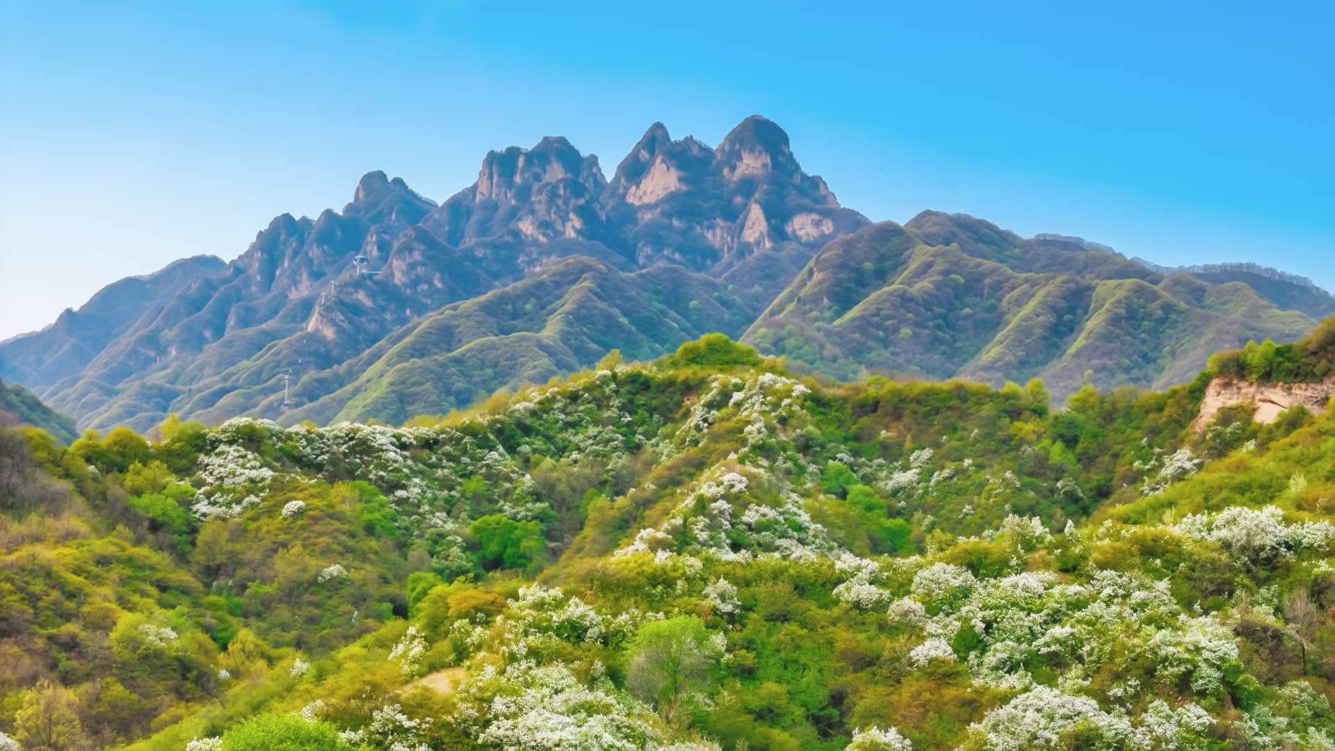 20260411093451897-96-48ddb.jpg 20260411093451897-96-48ddb.jpg