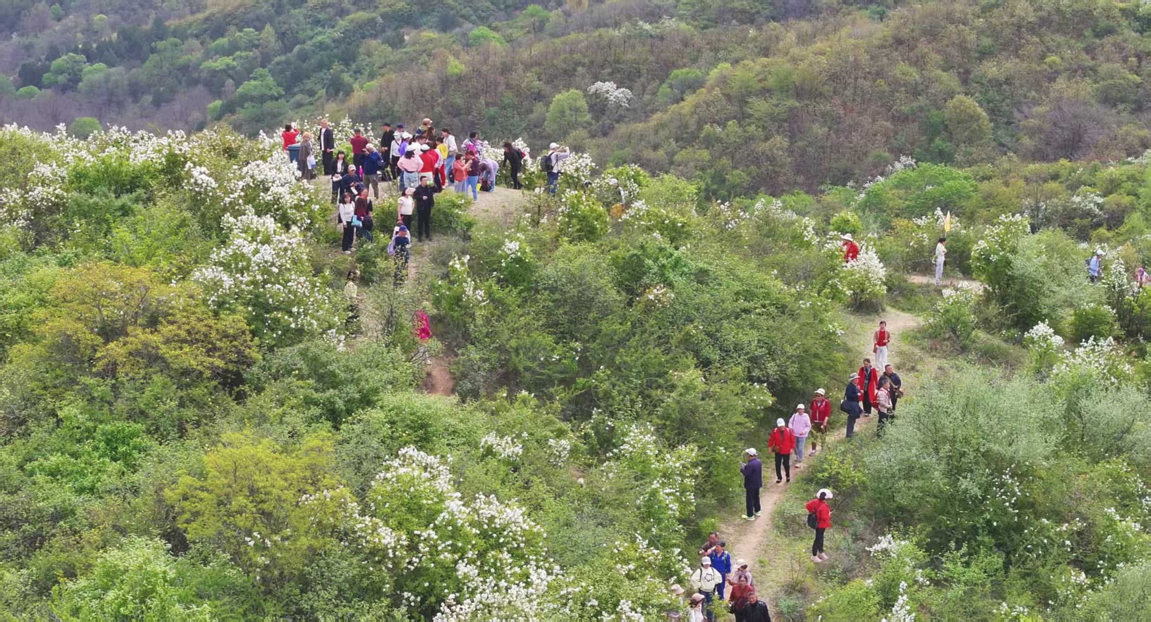 20260411093602270-54-47360.jpg 20260411093602270-54-47360.jpg