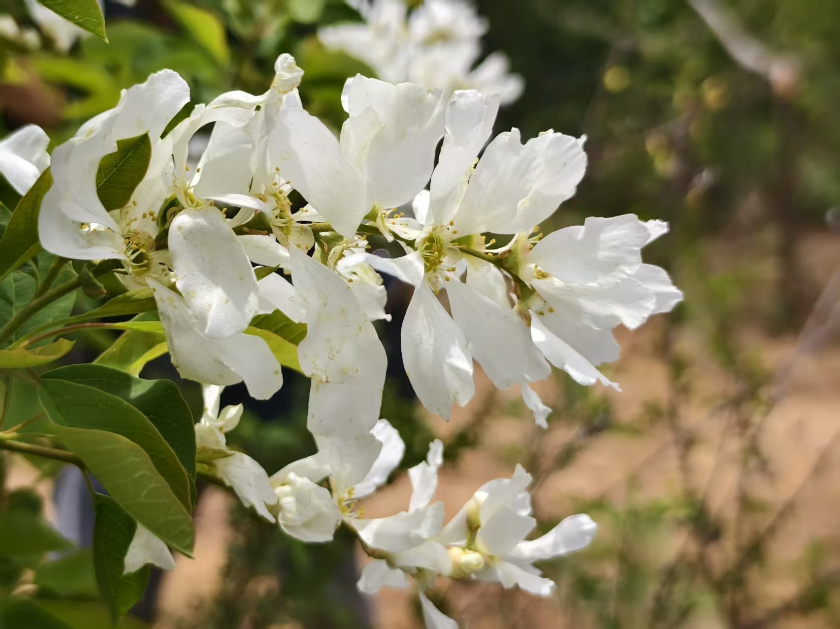 20260411093822525-91-a4f40.jpg 20260411093822525-91-a4f40.jpg