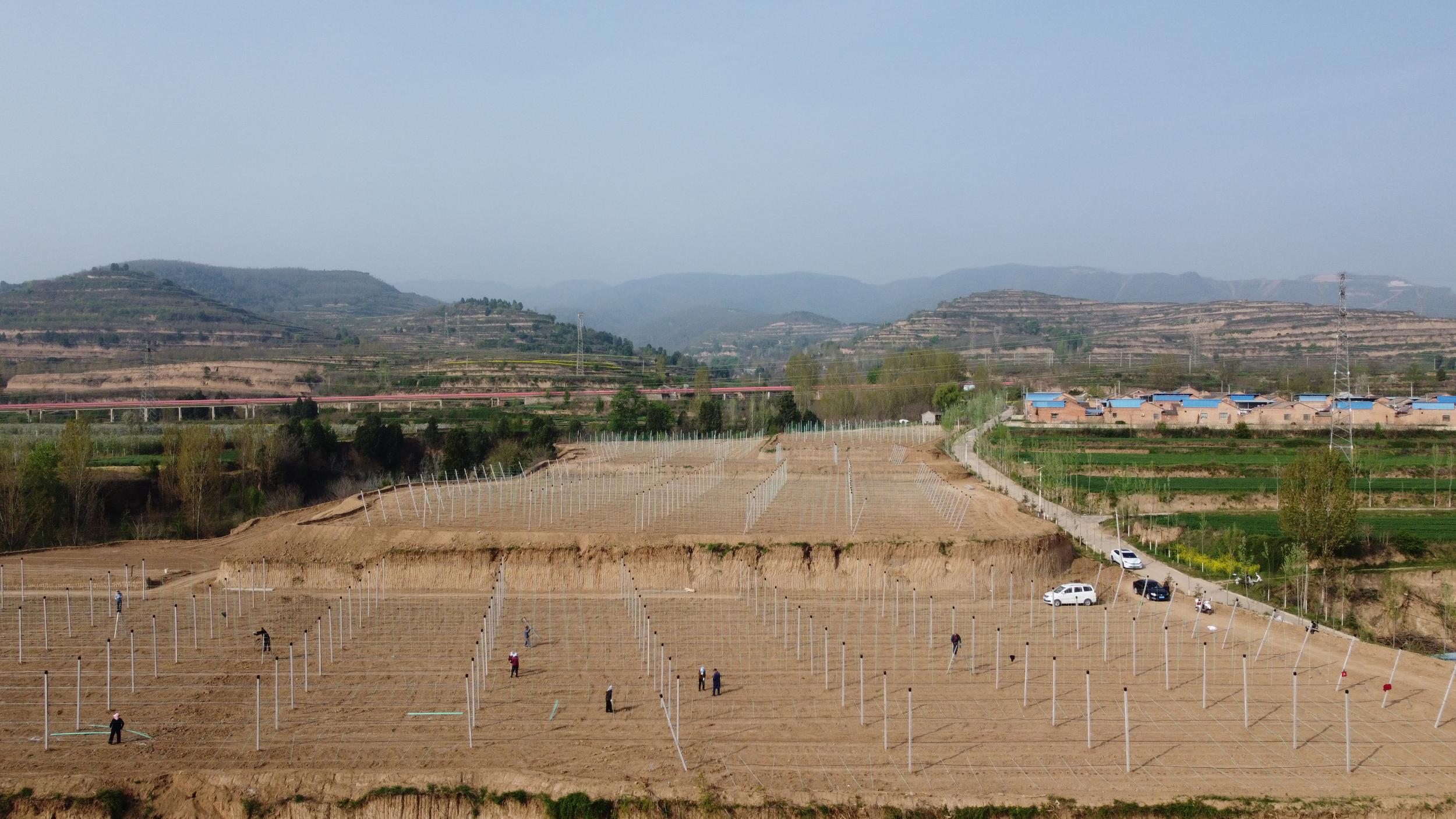 20260416081842315-55-ee0ff.jpg_scale.jpg 20260416081842315-55-ee0ff.jpg_scale.jpg