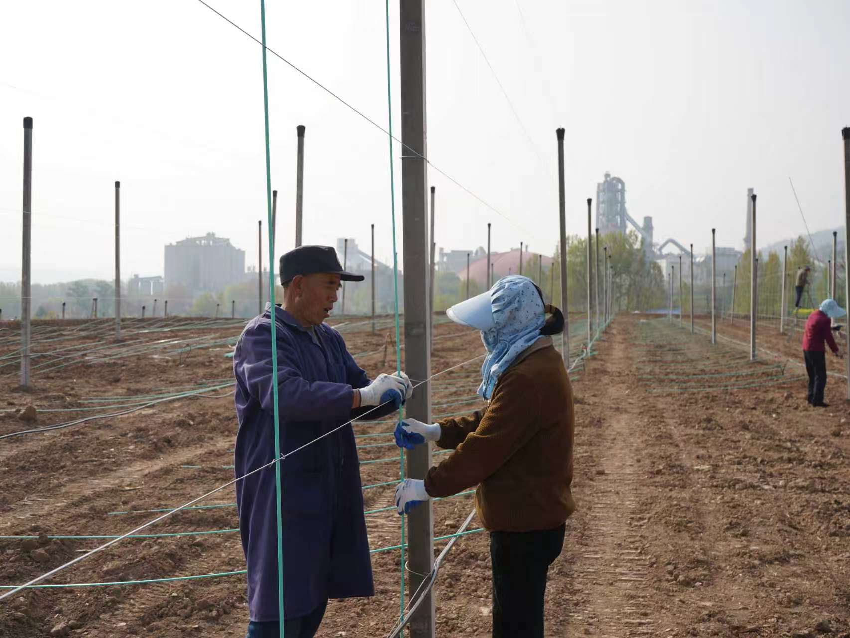 20260416081847836-26-345bf.jpg 20260416081847836-26-345bf.jpg