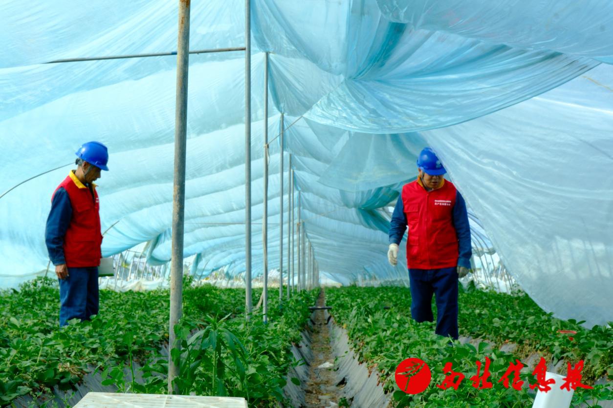 微信图片_20260421103305_247_664