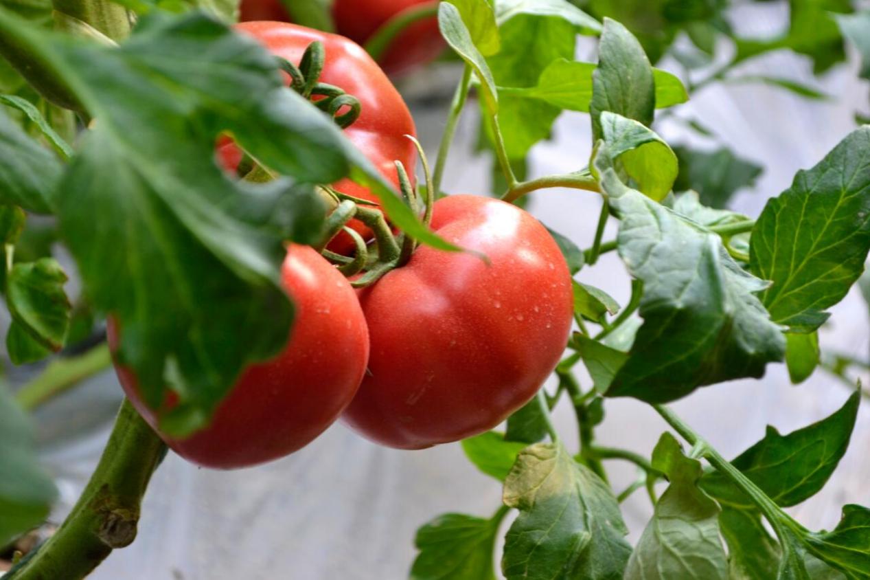 47e2109f0e0c60eefaf8ec4848a29f10