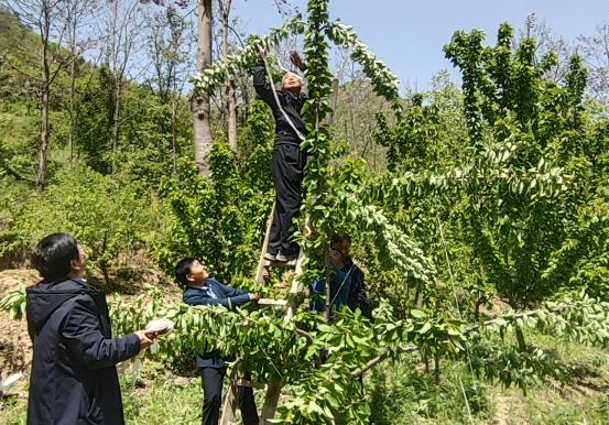 微信图片_20260427110519_222_123