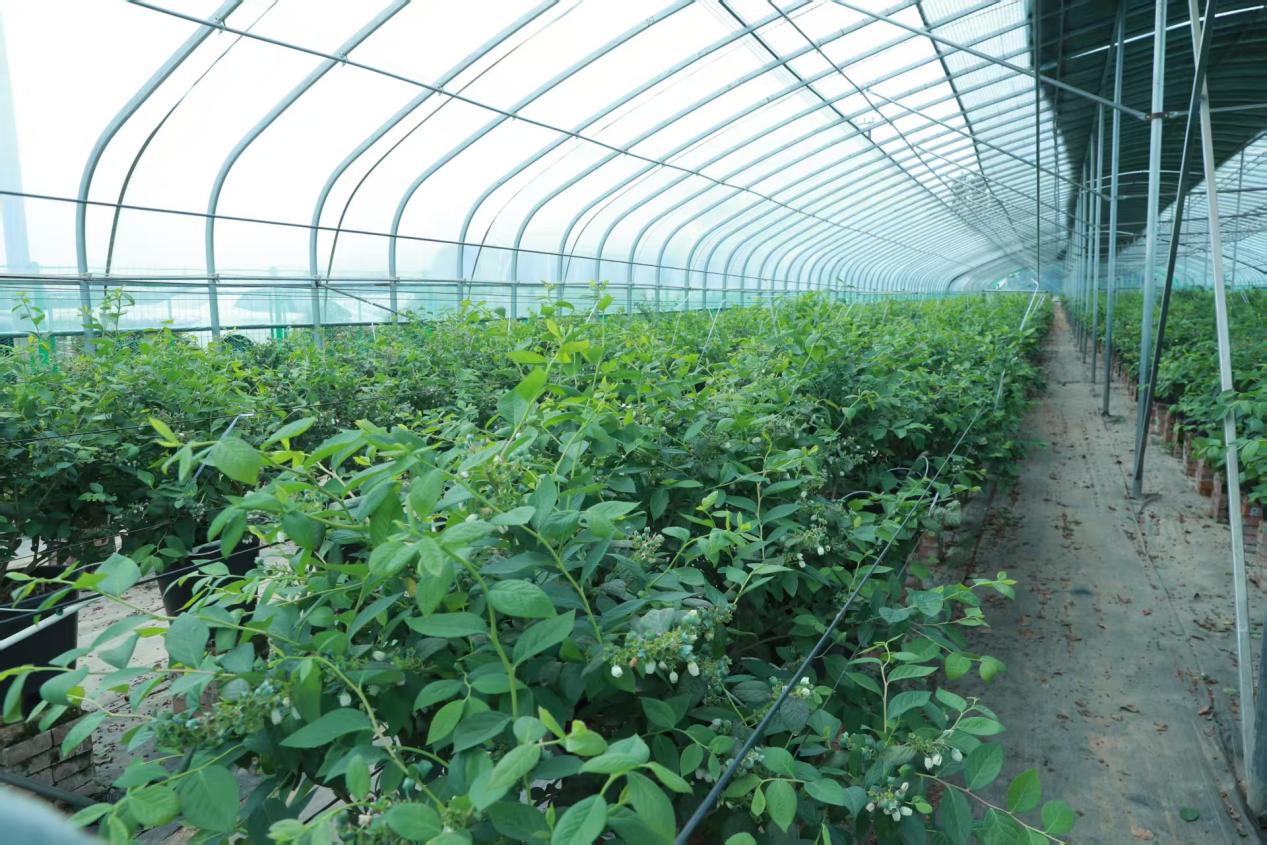 a579a65835661d68528cd12e7661d78d