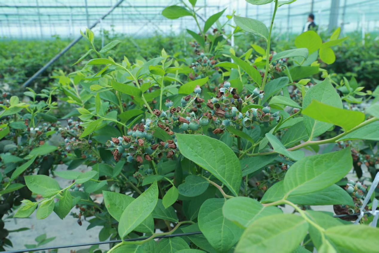 7856609bed5d06e024f5f042d7e7b456