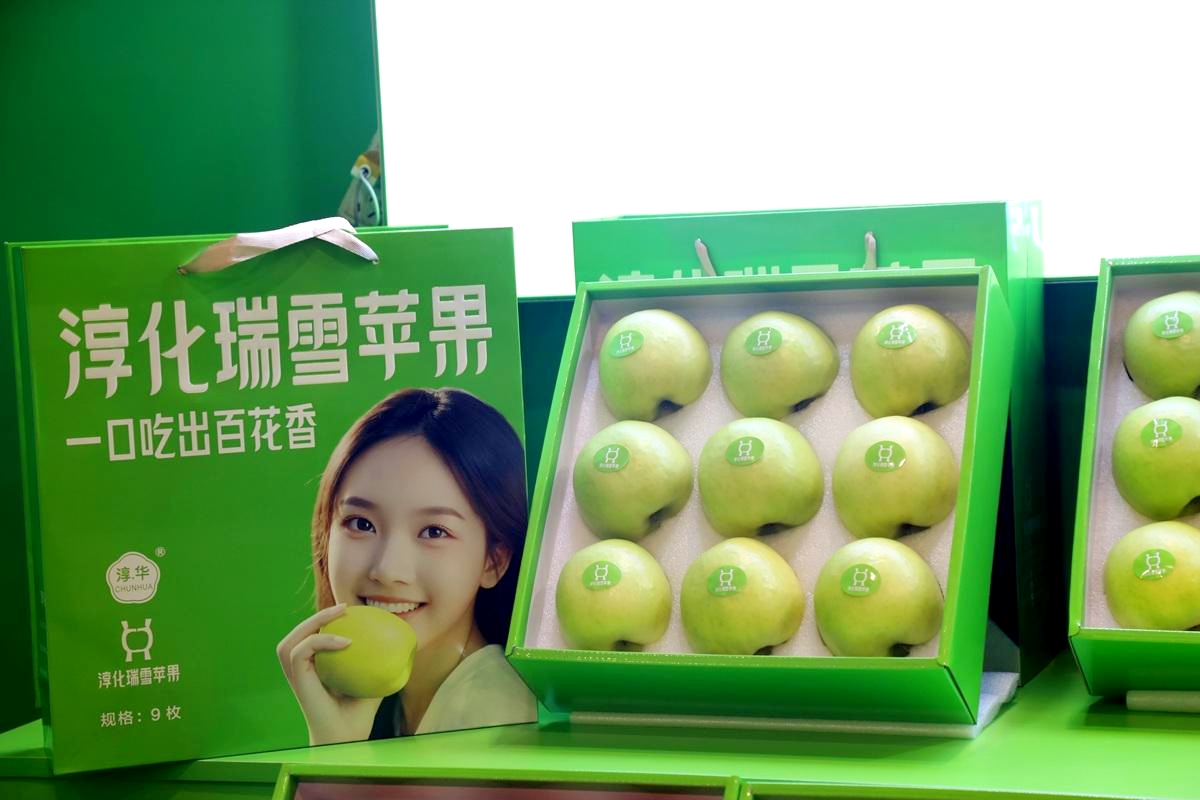 微信图片_20260425085838_3217_37