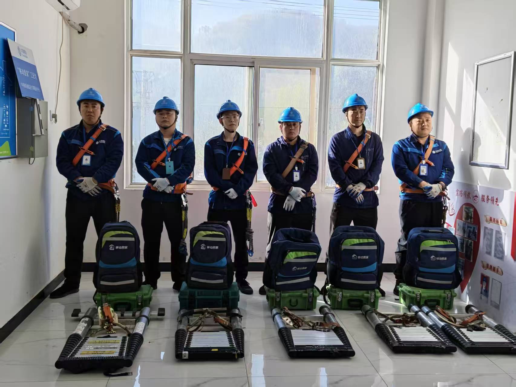dachshund